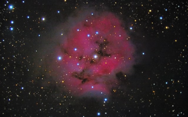 c-19-Neb-capullo-13-10-16-j-Martínez