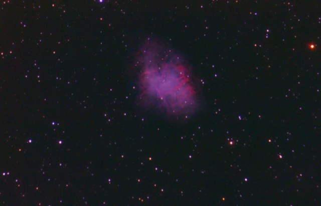 m1-cangrejo-02-01-16-j-martinez