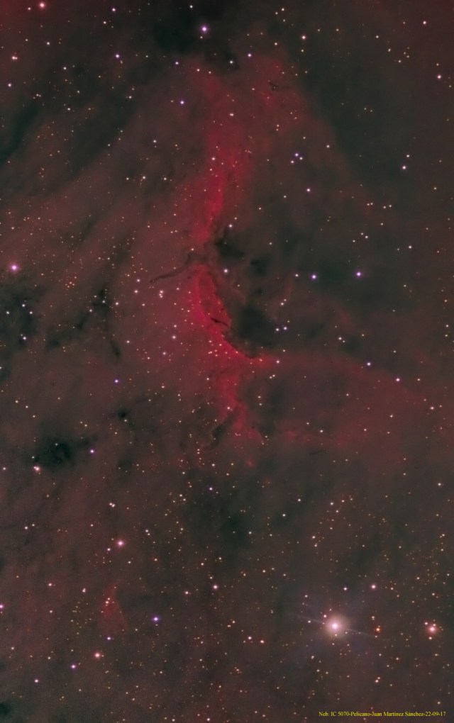 IC 5070-Neb.Pelican-21-09-17-Juan Martínez Sánchez